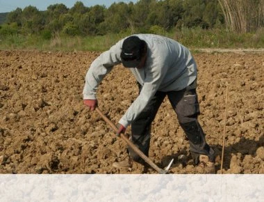 Σοκ! Φύτευε πατάτες στον κήπο του και ανακάλυψε ότι η γυναίκα του είναι δολοφόνος